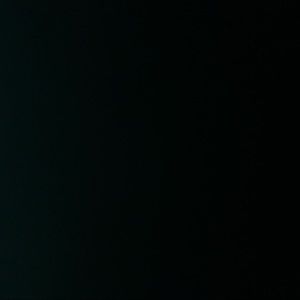 Meet your Posher, Travis